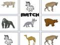 Match 