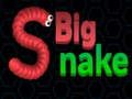 Big Snake 