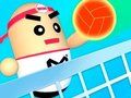 3D Amazing VolleyBall 