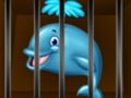Rescue the Whale Rescue the Whale