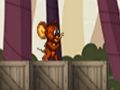 Tom & Jerry: Runner 