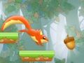 Nut Rush Summer Sprint 