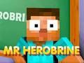 Mr Herobrine Mr Herobrine