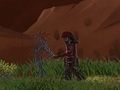 Phase Ninja 