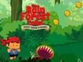 Rainforest Tales 