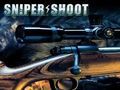 Sniper Shooting 
