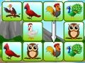 Birds Link 