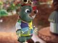 Moley Moletown Chase 