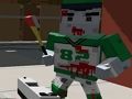PGA6 Zombie Arena 3D Survival 
