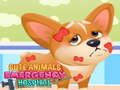 Cute Animals Emergency Hospital 