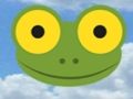 Meet Make the Frog 