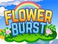 Flower Burst 