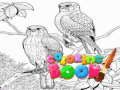 Coloring Book for Adults Coloring Book for Adults