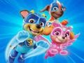Coloring Book for Paw Patrol 