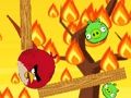 Angry birds. io 
