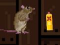 Rat hunt 
