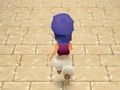Aladdin Prince 