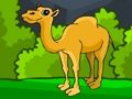 Rescue The Hungry Camel 