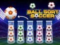 Ball Sort Soccer 