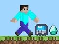 Pro Steve 