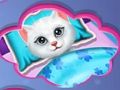 Kitty Bedtime Activities 