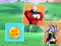 DragonBall Match Cards 