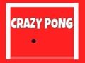 Crazy Pong 