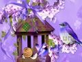Wonderful Humming Bird Land Escape 