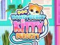 Doc HoneyBerry Kitty Surgery 