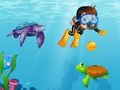 Diving In The Pacific 