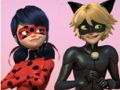 Miraculous Ladybug & Cat Noir Jigsaw Puzzle 