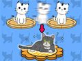 Cat Condo 