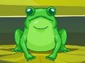 Frog Match Master 
