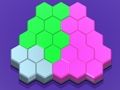 Hexagon Puzzle Blocks 