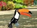 Find Woodpecker Pair 