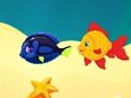 Marine Fish 