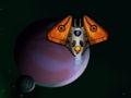 Space Action 