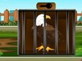 Rescue the Bald Eagle 