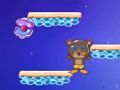 Bear Diver 