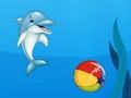 Dolphin Show Dolphin Show