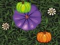 Color Pumpkin Match 