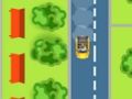 Long Road Trip 
