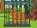 Funny Lynx Escape 