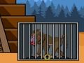 The Mandrill Baboon Escape 
