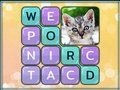Word Search Pictures 