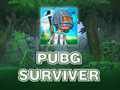 PUBG Survivor 