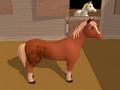 Horseshoeing 
