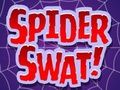 Spider Swat 