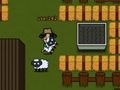 Sheep13 