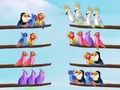 Bird Sort Puzzle Bird Sort Puzzle